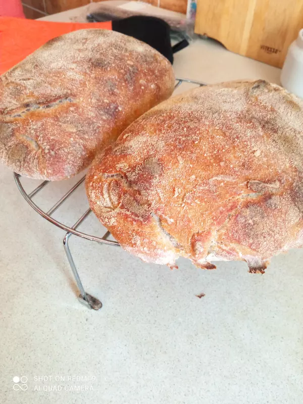 Чиабатта на закваске 50% влажности