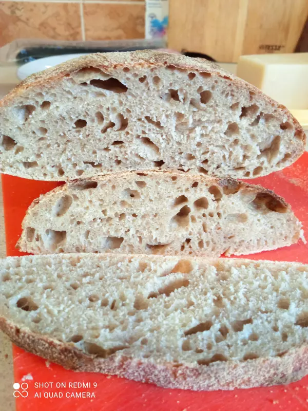 Чиабатта на закваске 50% влажности