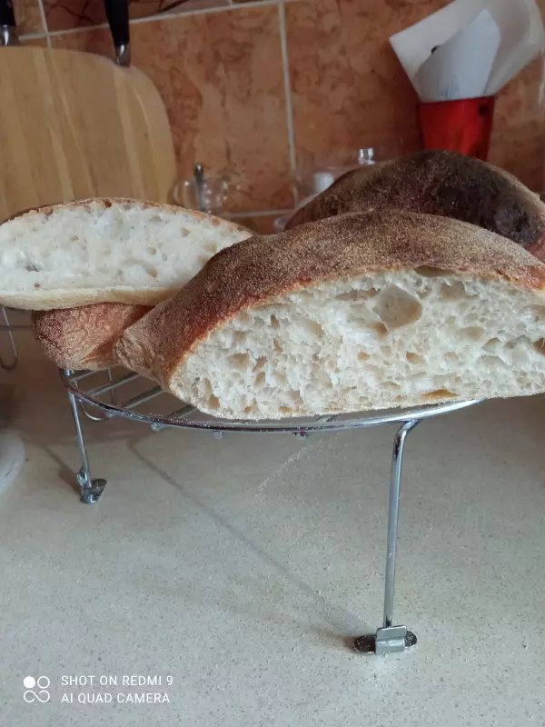 Чиабатта на закваске 50% влажности