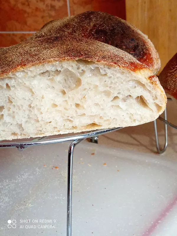 Чиабатта на закваске 50% влажности