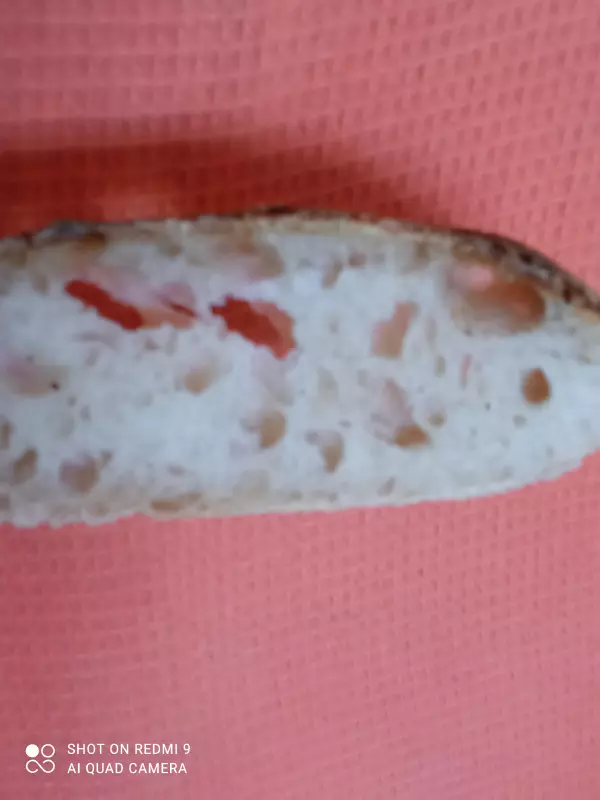 Чиабатта на закваске 50% влажности