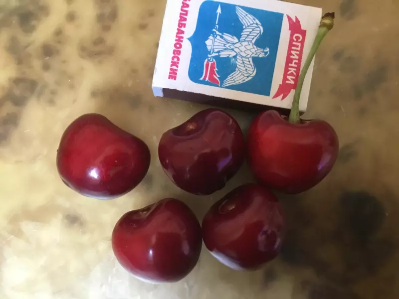 Чайная беседка