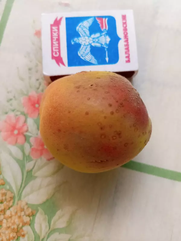 Чайная беседка