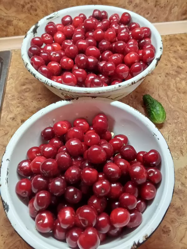 Чайная беседка