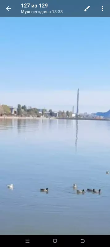 Чайная беседка