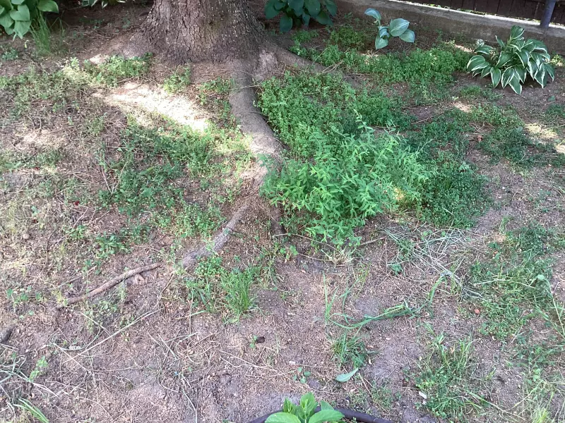 Загородная жизнь - обустройство на земле во всем разнообразии