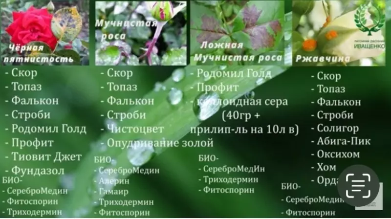 Загородная жизнь - обустройство на земле во всем разнообразии