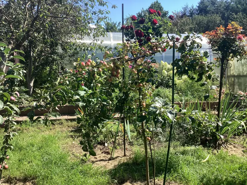 Загородная жизнь - обустройство на земле во всем разнообразии