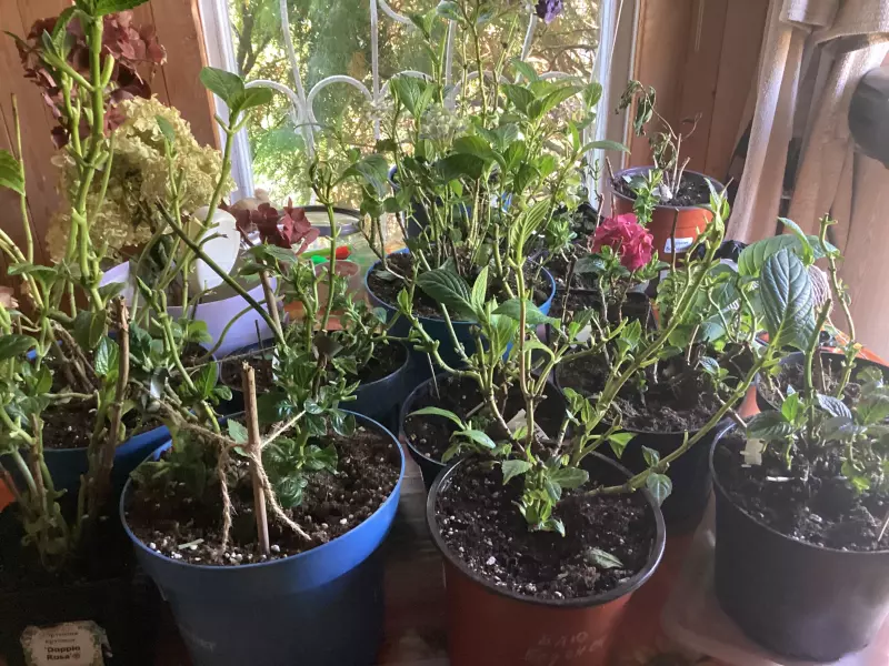 Загородная жизнь - обустройство на земле во всем разнообразии