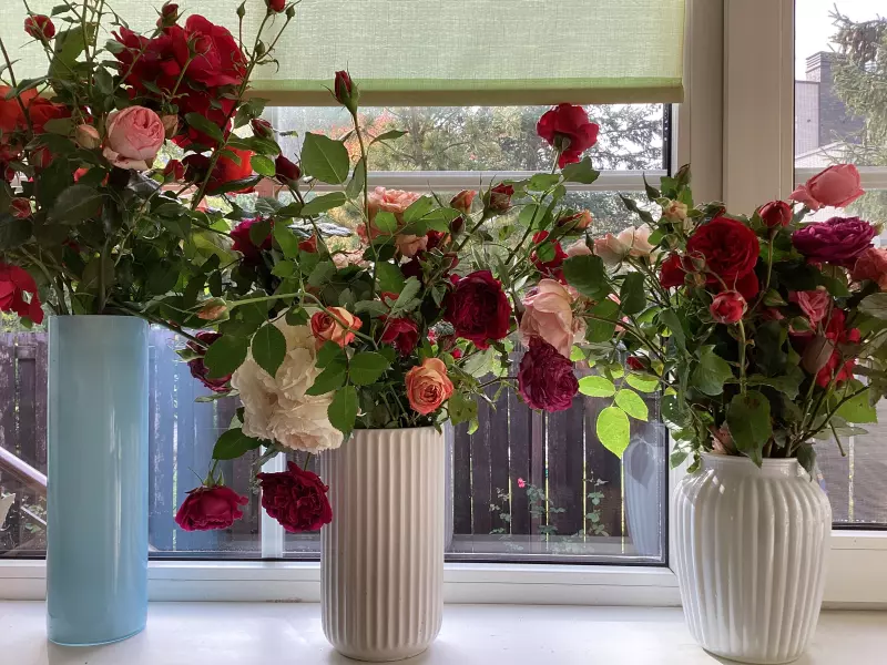 Загородная жизнь - обустройство на земле во всем разнообразии