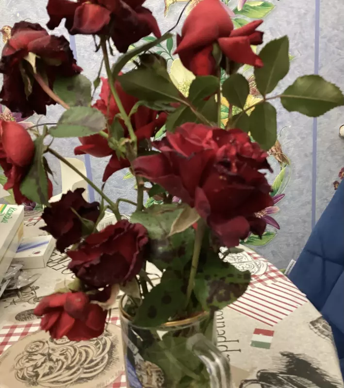 Загородная жизнь - обустройство на земле во всем разнообразии