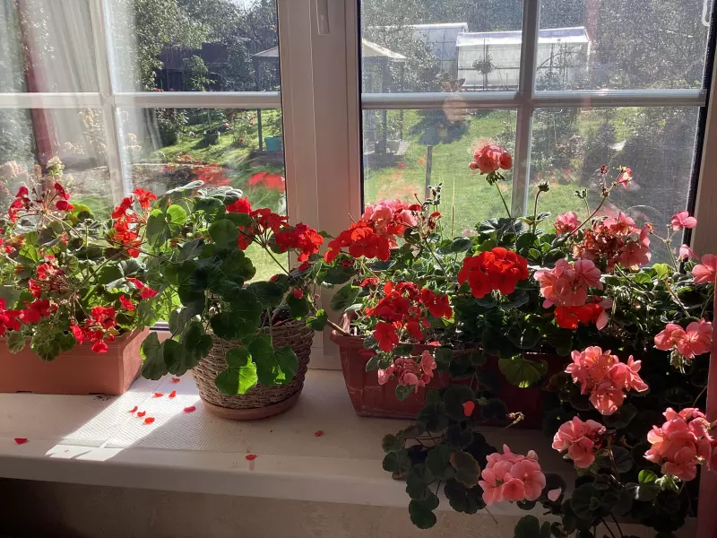 Загородная жизнь - обустройство на земле во всем разнообразии