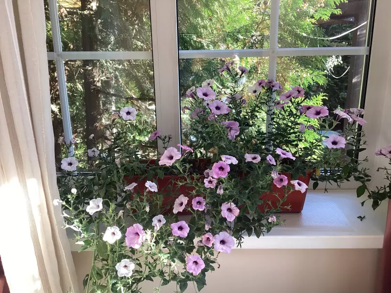 Загородная жизнь - обустройство на земле во всем разнообразии