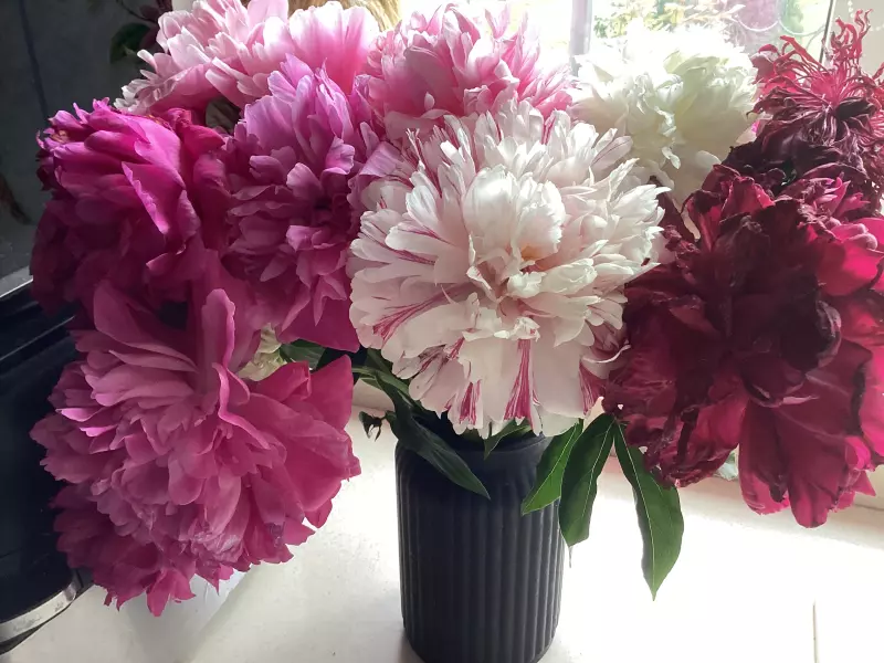 Загородная жизнь - обустройство на земле во всем разнообразии