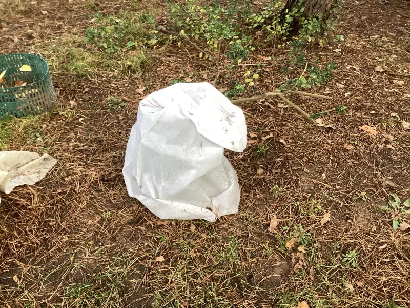 Загородная жизнь - обустройство на земле во всем разнообразии