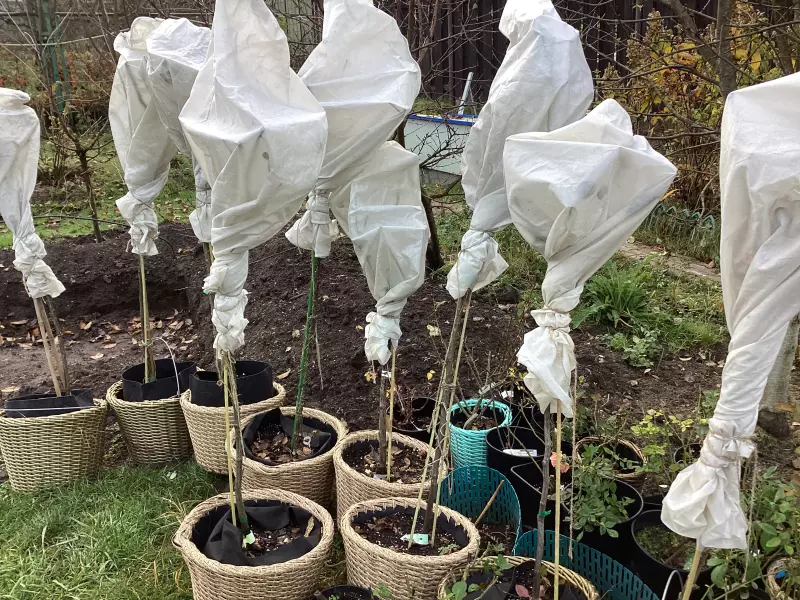 Загородная жизнь - обустройство на земле во всем разнообразии