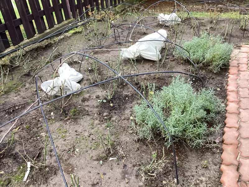 Загородная жизнь - обустройство на земле во всем разнообразии
