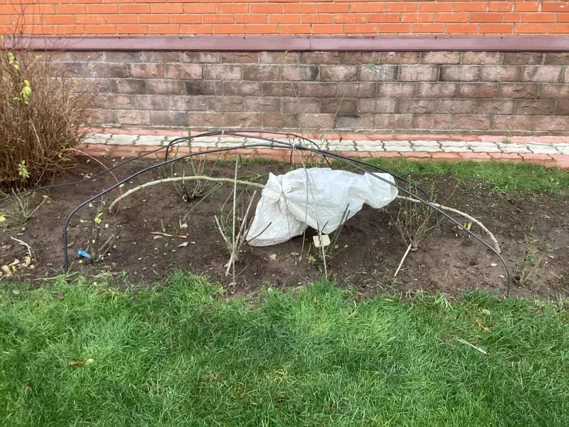 Загородная жизнь - обустройство на земле во всем разнообразии