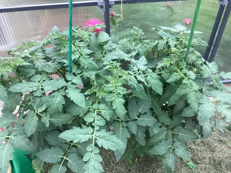 Загородная жизнь - обустройство на земле во всем разнообразии