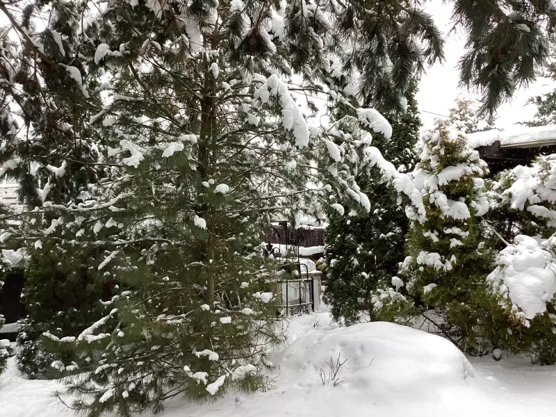 Загородная жизнь - обустройство на земле во всем разнообразии