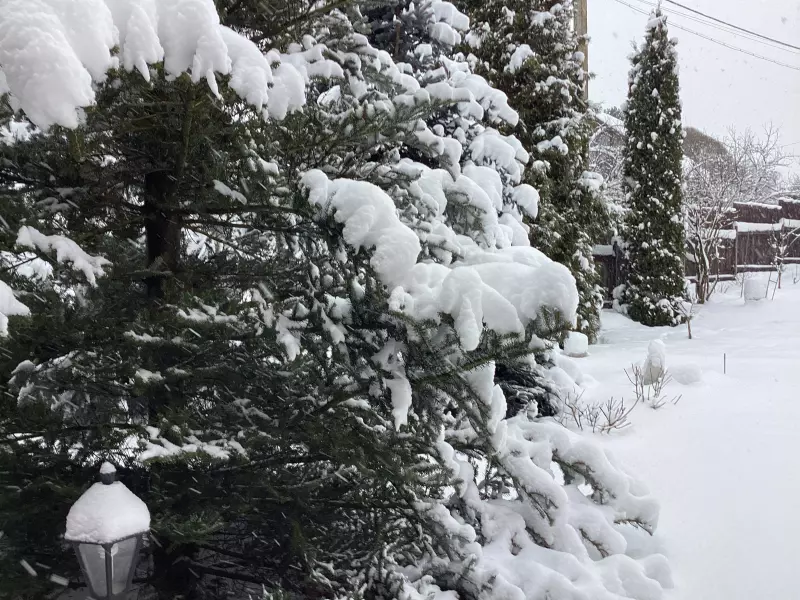 Загородная жизнь - обустройство на земле во всем разнообразии