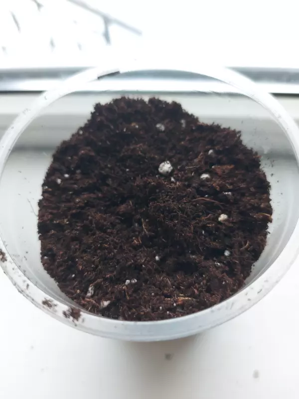 Загородная жизнь - обустройство на земле во всем разнообразии