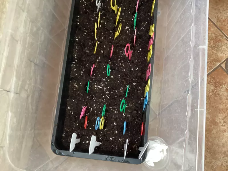 Загородная жизнь - обустройство на земле во всем разнообразии