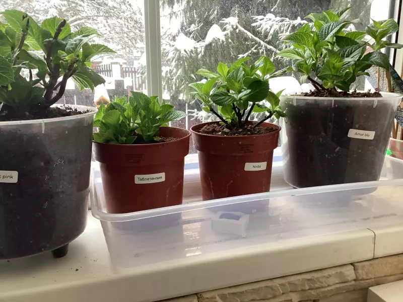 Загородная жизнь - обустройство на земле во всем разнообразии