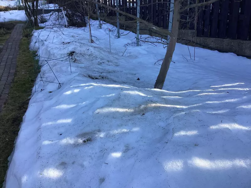 Загородная жизнь - обустройство на земле во всем разнообразии