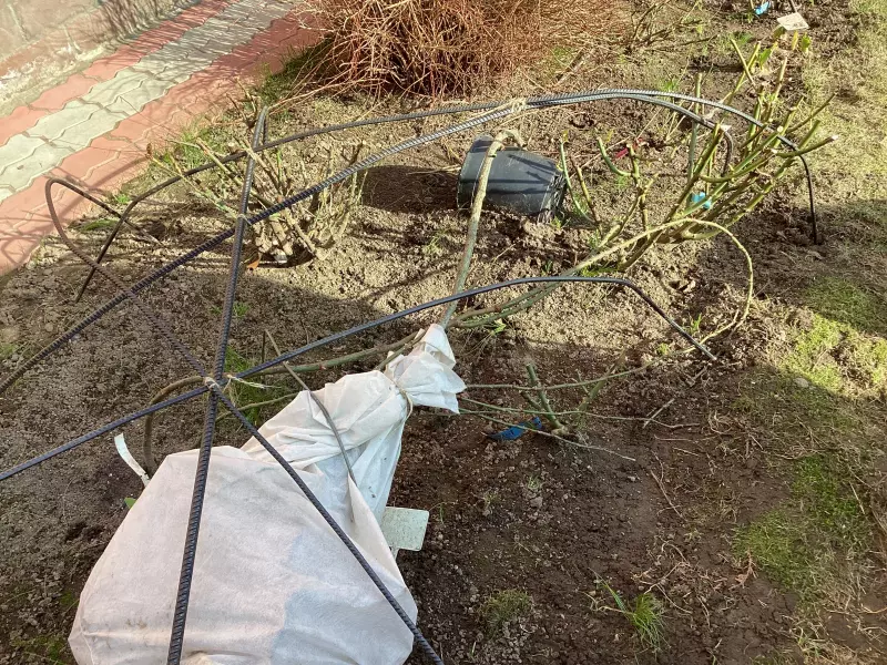 Загородная жизнь - обустройство на земле во всем разнообразии