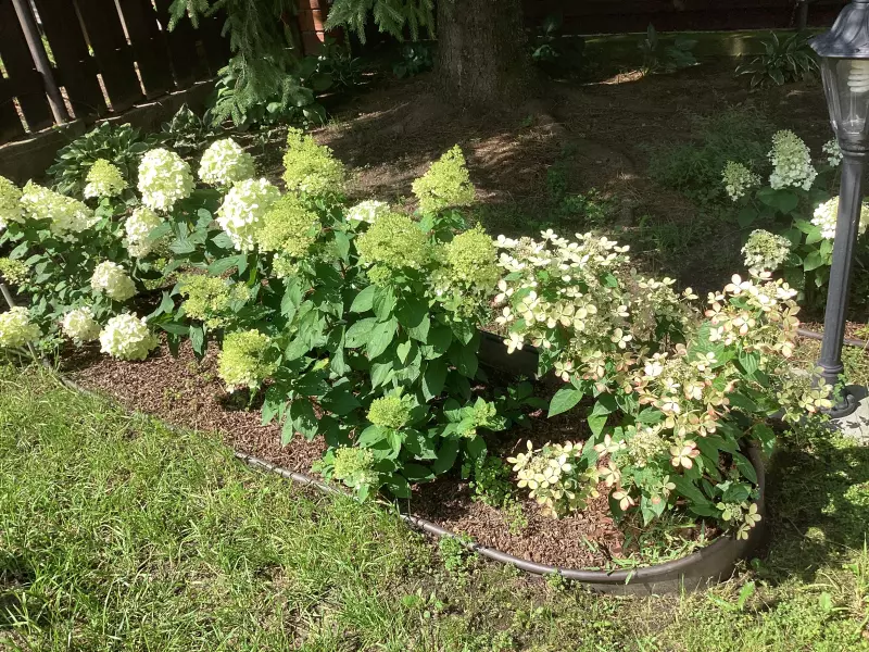 Загородная жизнь - обустройство на земле во всем разнообразии