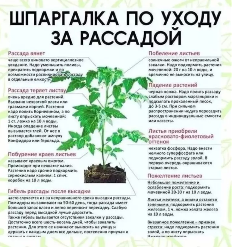 Загородная жизнь - обустройство на земле во всем разнообразии