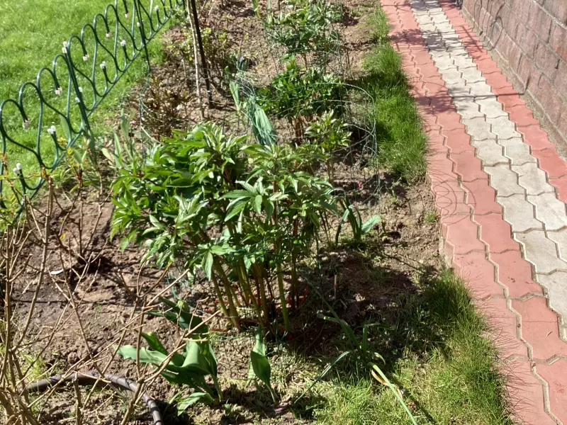 Загородная жизнь - обустройство на земле во всем разнообразии