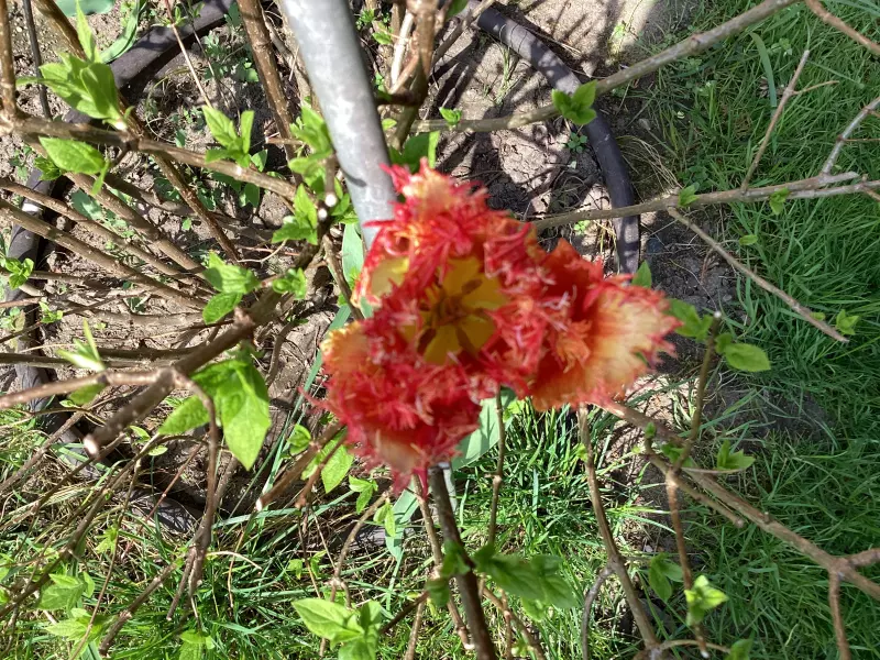 Загородная жизнь - обустройство на земле во всем разнообразии