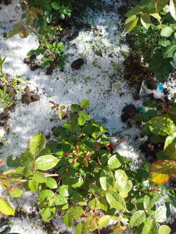 Загородная жизнь - обустройство на земле во всем разнообразии