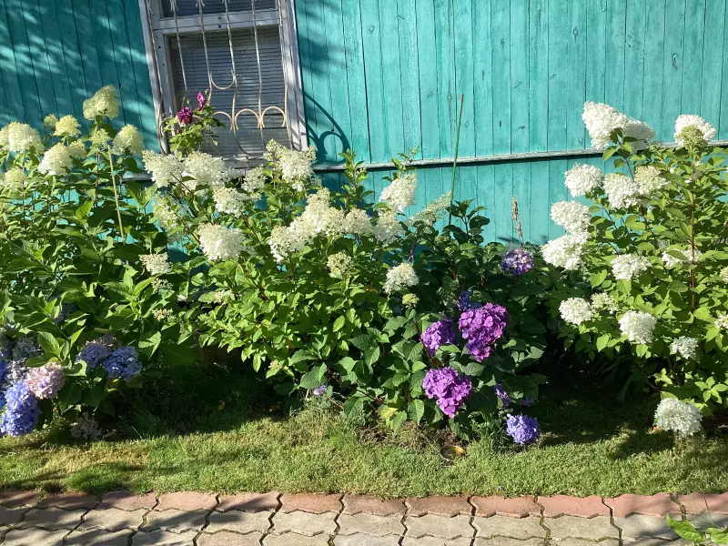 Загородная жизнь - обустройство на земле во всем разнообразии