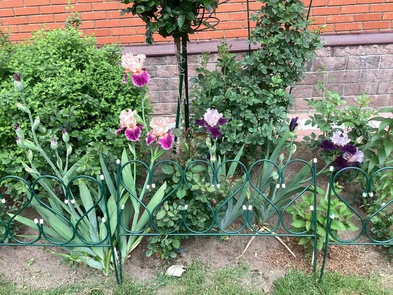 Загородная жизнь - обустройство на земле во всем разнообразии