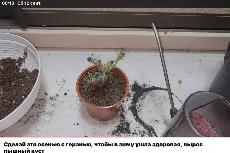 Загородная жизнь - обустройство на земле во всем разнообразии