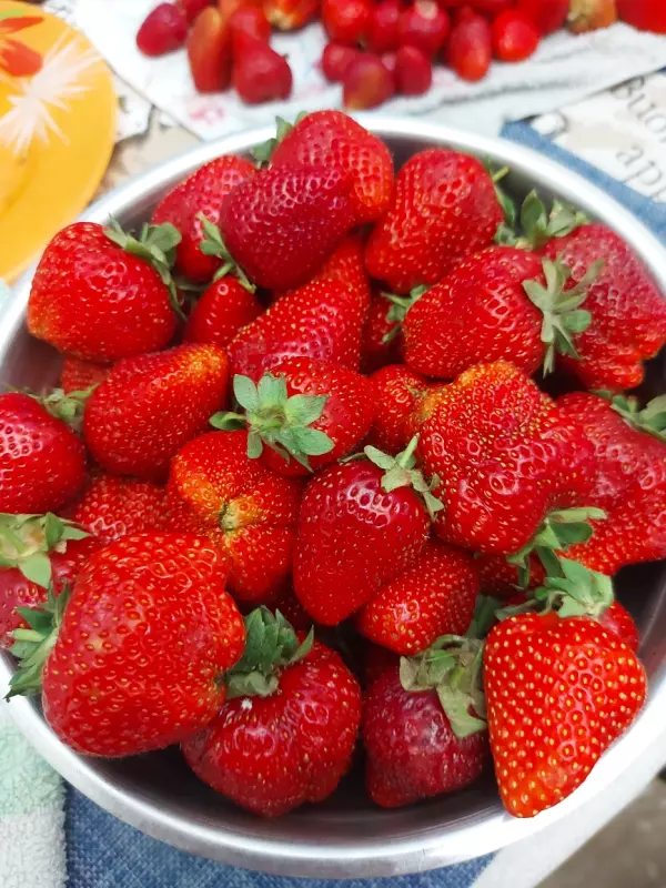 Фуд Сити в Москве