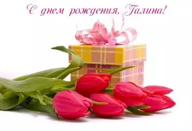 Tapтaлeтки & Ко