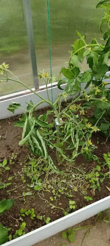 Загородная жизнь - обустройство на земле во всем разнообразии