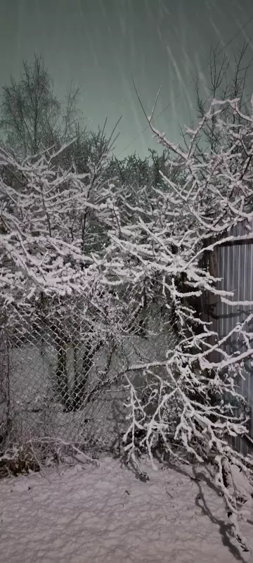 Tapтaлeтки & Ко