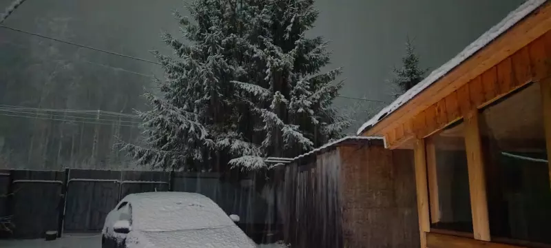 Tapтaлeтки & Ко