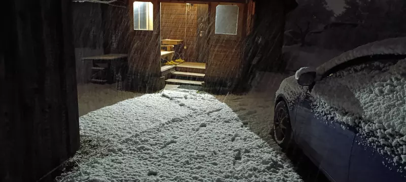 Tapтaлeтки & Ко