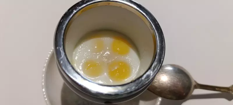 Кодлер