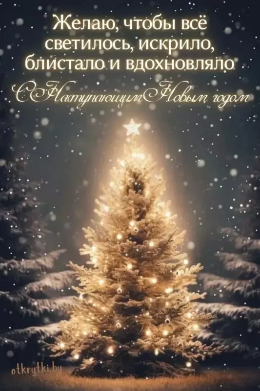 С Новым 2026 годом!