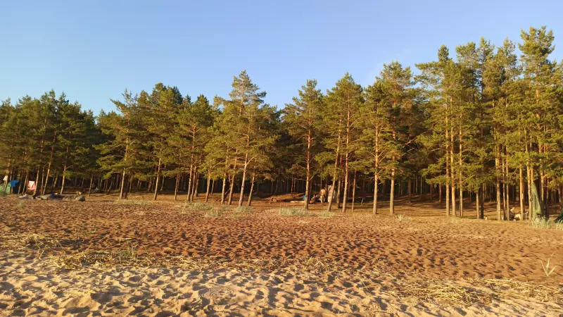 Чайная беседка