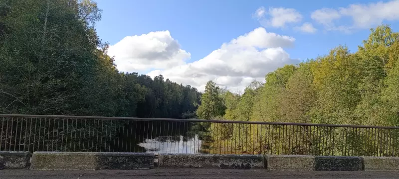 Чайная беседка