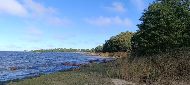 Чайная беседка
