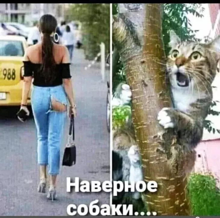 Посмеялся сам - поделись с другом!!!